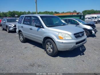  Salvage Honda Pilot