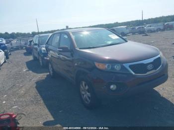  Salvage Kia Sorento