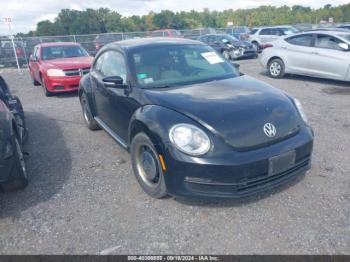  Salvage Volkswagen Beetle