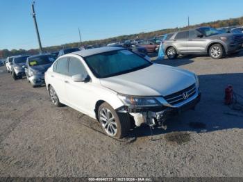  Salvage Honda Accord