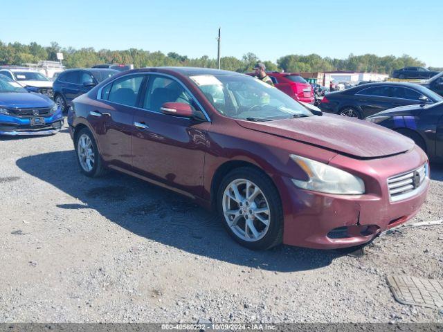  Salvage Nissan Maxima