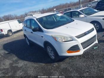  Salvage Ford Escape