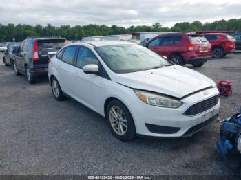  Salvage Ford Focus