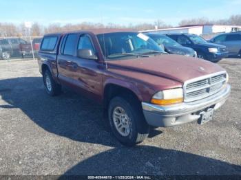  Salvage Dodge Dakota