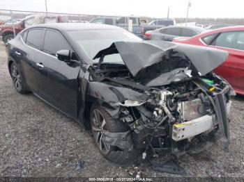  Salvage Nissan Maxima