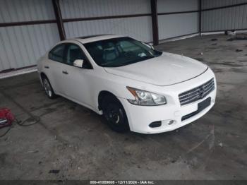  Salvage Nissan Maxima