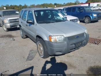  Salvage Ford Escape