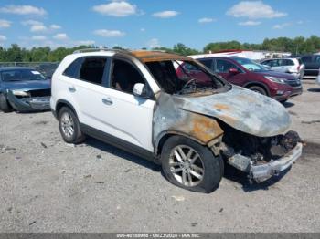  Salvage Kia Sorento