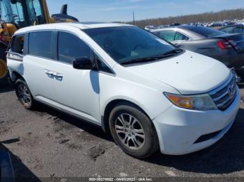  Salvage Honda Odyssey