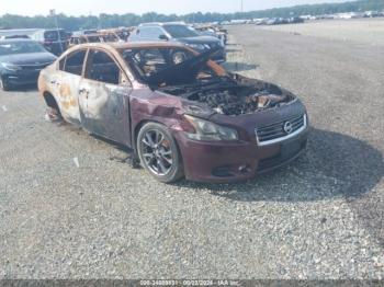  Salvage Nissan Maxima