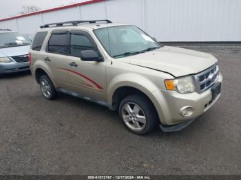  Salvage Ford Escape