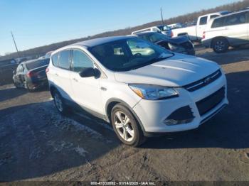  Salvage Ford Escape