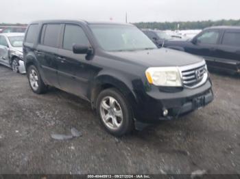  Salvage Honda Pilot