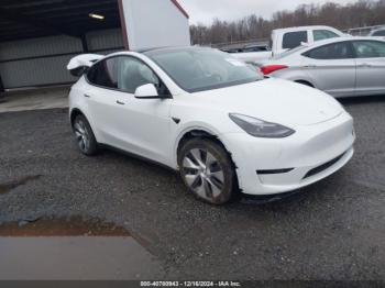  Salvage Tesla Model Y