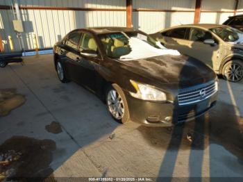  Salvage Nissan Maxima