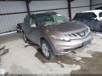  Salvage Nissan Murano