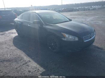  Salvage Nissan Maxima