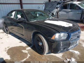  Salvage Dodge Charger