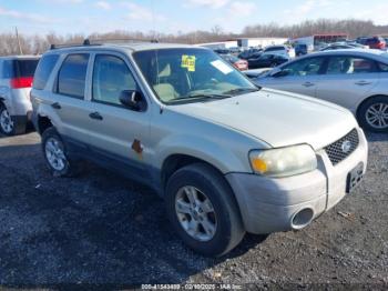  Salvage Ford Escape