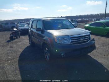  Salvage Honda Pilot