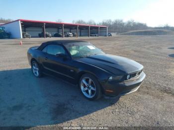  Salvage Ford Mustang