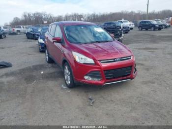  Salvage Ford Escape