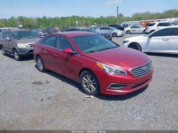  Salvage Hyundai SONATA