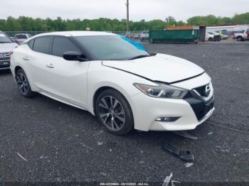  Salvage Nissan Maxima