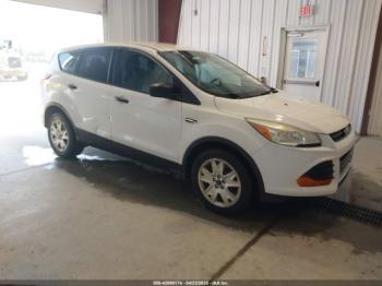 Salvage Ford Escape
