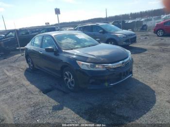  Salvage Honda Accord
