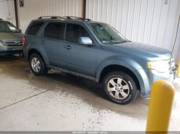  Salvage Ford Escape