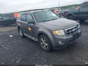  Salvage Ford Escape