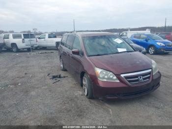  Salvage Honda Odyssey