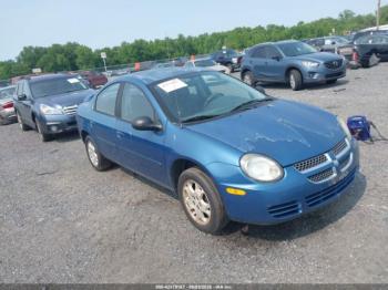  Salvage Dodge Neon