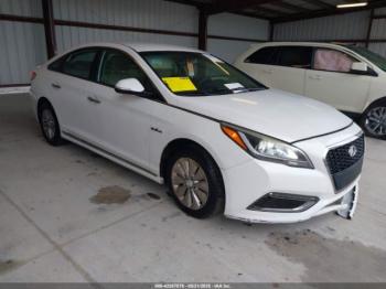 Salvage Hyundai SONATA