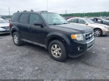  Salvage Ford Escape