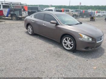 Salvage Nissan Maxima