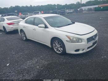  Salvage Nissan Maxima