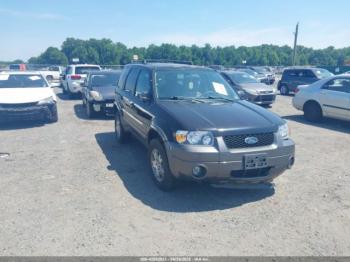  Salvage Ford Escape