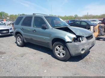  Salvage Ford Escape