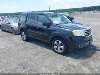  Salvage Honda Pilot