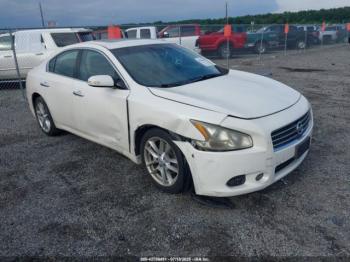  Salvage Nissan Maxima