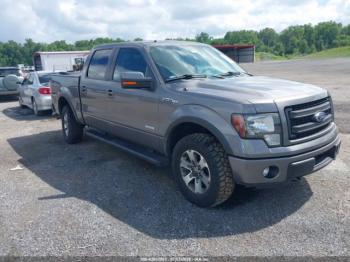  Salvage Ford F-150