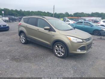  Salvage Ford Escape