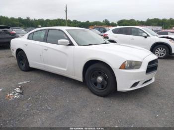  Salvage Dodge Charger