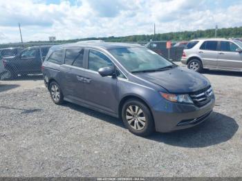  Salvage Honda Odyssey