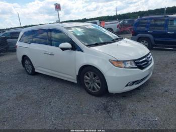  Salvage Honda Odyssey