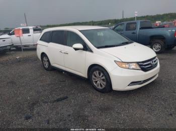  Salvage Honda Odyssey