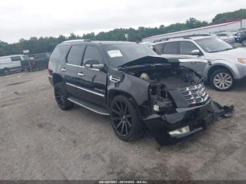  Salvage Cadillac Escalade
