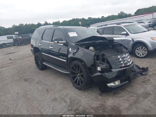  Salvage Cadillac Escalade